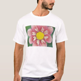 Camiseta EE. UU., Washington, Bellevue, Jardín Botánico de 