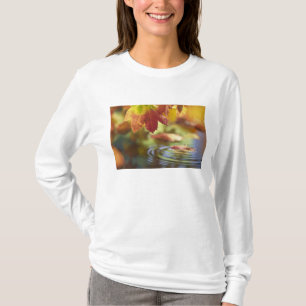 Camiseta EE. UU., Washington, Bellingham, Primer plano de o