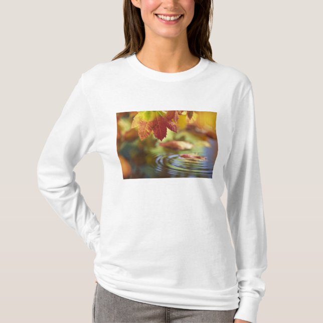 Camiseta EE. UU., Washington, Bellingham, Primer plano de o (Anverso)