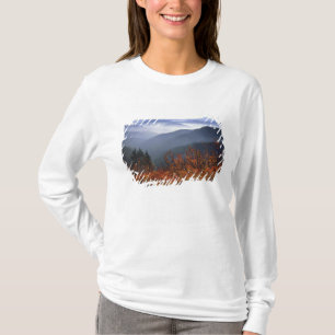 Camiseta EE. UU., Washington, Columbia River Gorge National