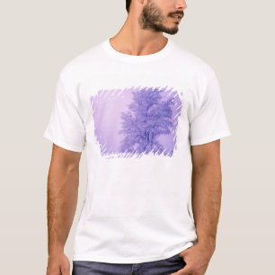 Camiseta EE. UU., Washington, condado de Spokane, Helado