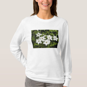 Camiseta EE. UU., Washington, Cornejo del Pacífico, Cornus