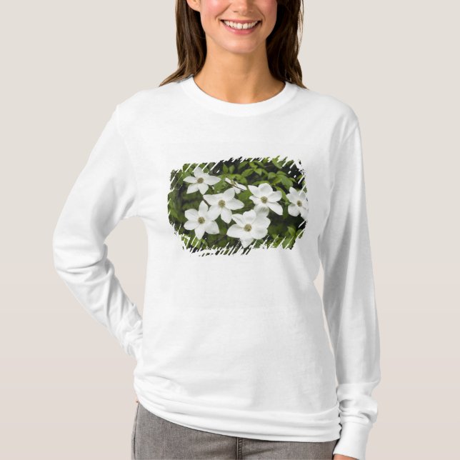 Camiseta EE. UU., Washington, Cornejo del Pacífico, Cornus (Anverso)