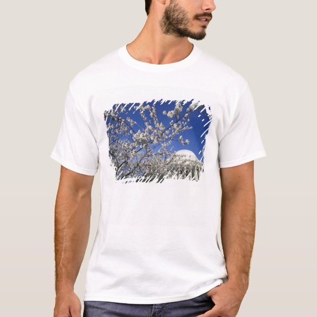 Camiseta EE. UU., Washington D. C. Festival de la Flor de C (Anverso)