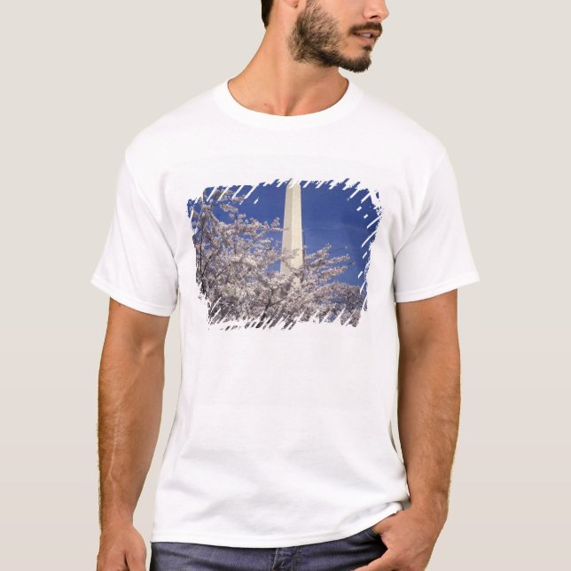 Camiseta EE. UU., Washington DC. Festival de las flores de  (Anverso)