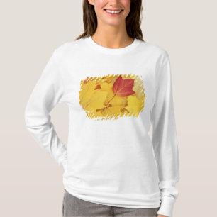 Camiseta EE. UU., Washington, Finch Arboretum, Rojo y