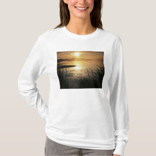 Camiseta EE. UU., Washington, isla Lopez, Niebla matutina e
