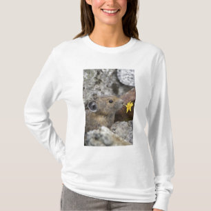 Camiseta EE. UU., Washington, Parque Nacional North Cascade