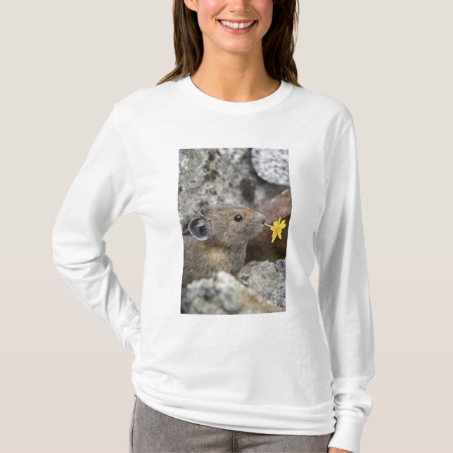 Camiseta EE. UU., Washington, Parque Nacional North Cascade (Anverso)