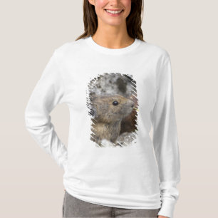 Camiseta EE. UU., Washington, Parque Nacional North Cascade