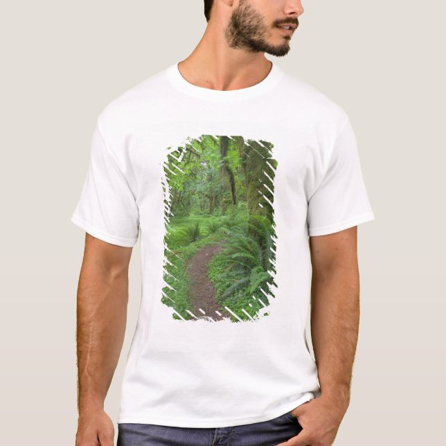 Camiseta EE. UU., Washington, Parque Nacional Olímpico, (Anverso)