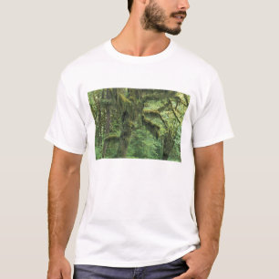 Camiseta EE. UU., Washington, Parque Nacional Olímpico.