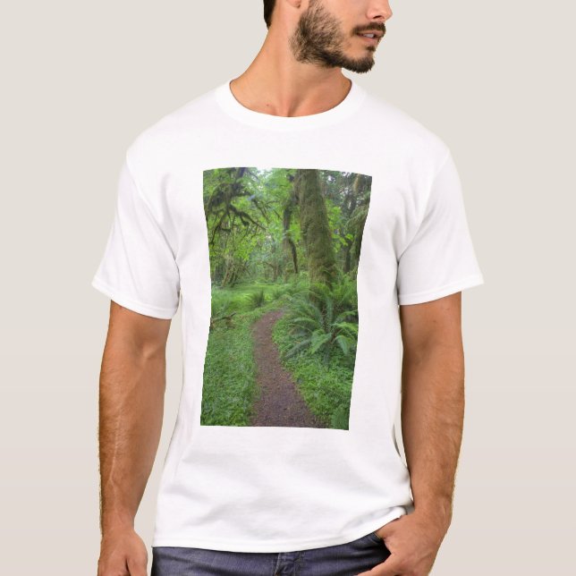 Camiseta EE. UU., Washington, Parque Nacional Olímpico, (Anverso)