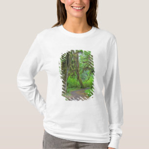 Camiseta EE. UU., Washington, Parque Nacional Olímpico, Hoh