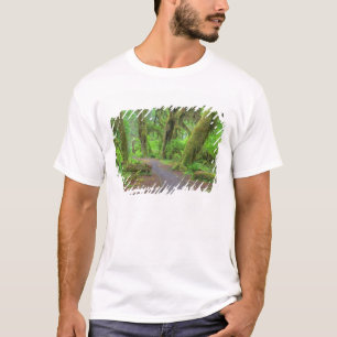 Camiseta EE. UU., Washington, Parque Nacional Olímpico, Llu