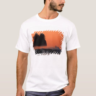Camiseta EE. UU., Washington, Parque Nacional Olímpico, Mar