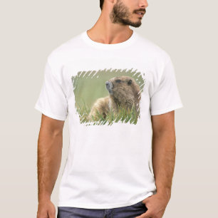 Camiseta EE. UU., Washington, Parque Nacional Olímpico, Mar