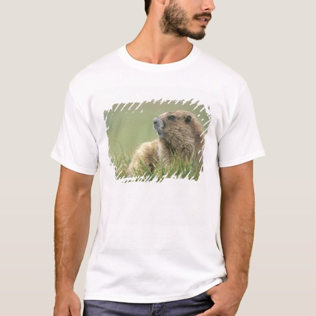 Camiseta EE. UU., Washington, Parque Nacional Olímpico, Mar (Anverso)