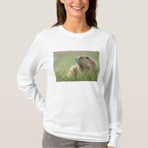Camiseta EE. UU., Washington, Parque Nacional Olímpico, Mar