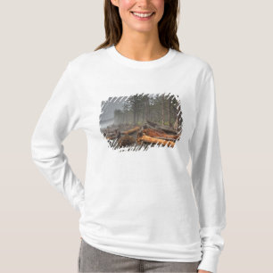 Camiseta EE. UU., Washington, Parque Nacional Olímpico, Ria