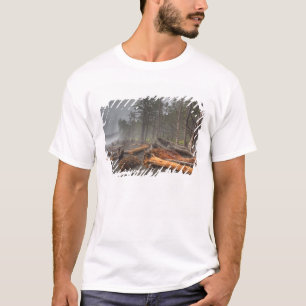 Camiseta EE. UU., Washington, Parque Nacional Olímpico, Ria