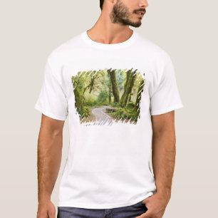 Camiseta EE. UU., Washington, Parque Nacional Olímpico, Sen