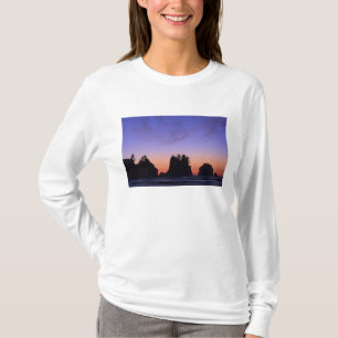 Camiseta EE. UU., Washington, Parque Nacional Olímpico, Shi