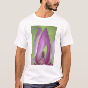 Camiseta EE. UU., Washington. Primer plano de flor de magno
