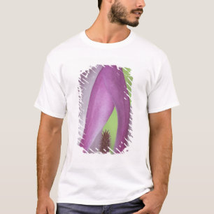 Camiseta EE. UU., Washington. Primer plano de flor de magno