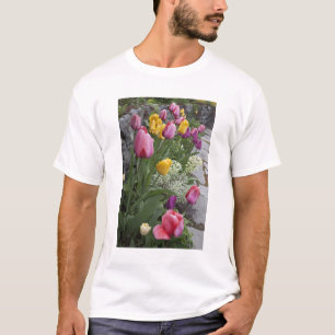 Camiseta EE. UU., Washington, Seabeck. Tulipanes bordean ja