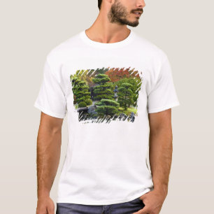 Camiseta EE. UU., Washington, Seattle, Arboreto, Japonés