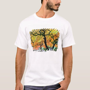 Camiseta EE. UU., Washington, Seattle, Jardín Kubota.