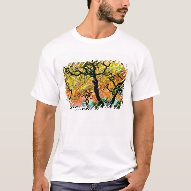 Camiseta EE. UU., Washington, Seattle, Jardín Kubota. (Anverso)
