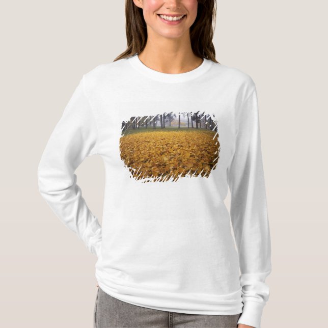 Camiseta EE. UU., Washington, Spokane, Manito Park, Otoño (Anverso)