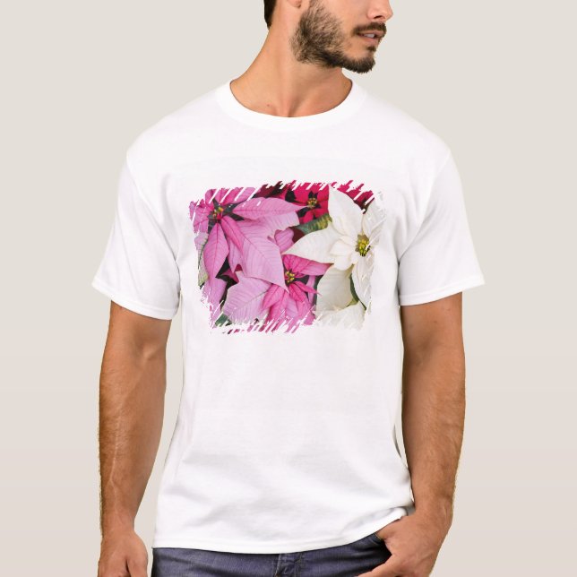 Camiseta EE.UU., Washington, Woodinville, la guardería de M (Anverso)