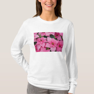 Camiseta EE. UU., Washington, Woodinville, Molbak's Nursery