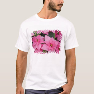 Camiseta EE. UU., Washington, Woodinville, Molbak's Nursery