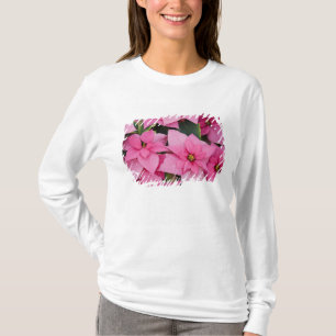 Camiseta EE. UU., Washington, Woodinville, Molbak's Nursery