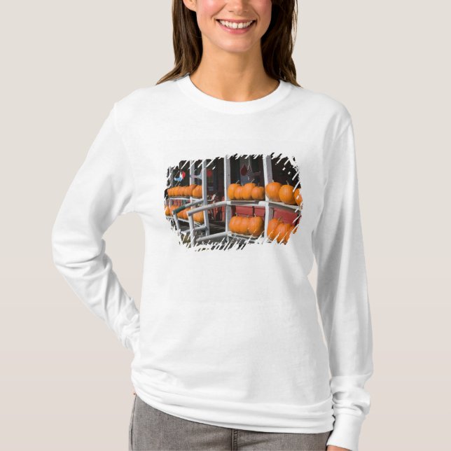 Camiseta EE. UU., WISCONSIN, Washburn: Orilla del lago Supe (Anverso)