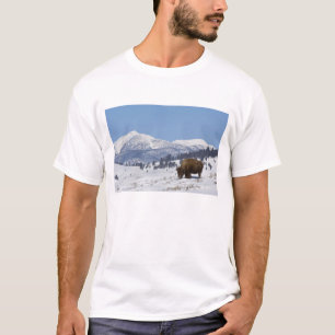 Camiseta EE. UU., WY, Parque Nacional Yellowstone, Bisonte 