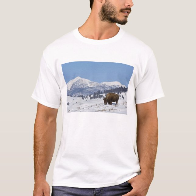 Camiseta EE. UU., WY, Parque Nacional Yellowstone, Bisonte  (Anverso)