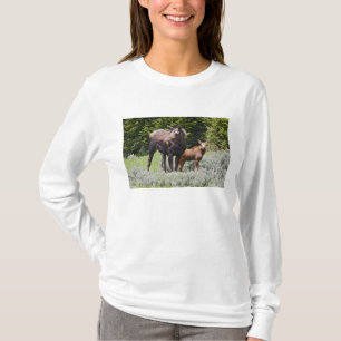 Camiseta EE. UU., Wyoming, montañas Bighorn, alce Alces