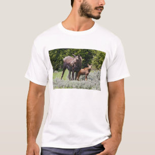 Camiseta EE. UU., Wyoming, montañas Bighorn, alce Alces