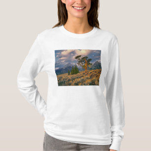 Camiseta EE. UU., Wyoming, Parque Nacional Grand Teton. El