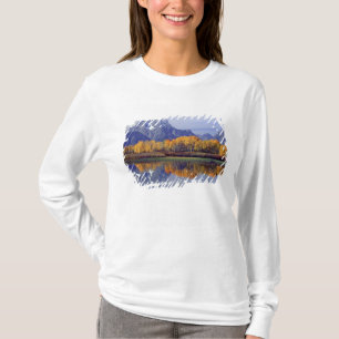 Camiseta EE.UU., Wyoming, Parque Nacional Grand Teton. Mt.