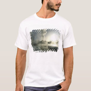 Camiseta EE. UU., Wyoming, Parque Nacional Yellowstone. Ama