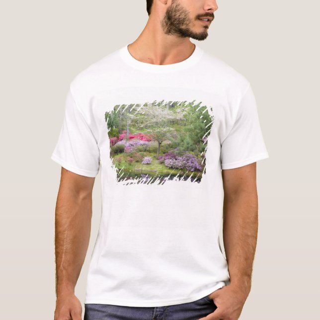 Camiseta EEUU, Georgia, Montaña Pina. Una mezcla de (Anverso)