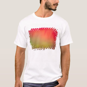 Camiseta EEUU, Idaho. Aurora boreal, luces del norte en 2