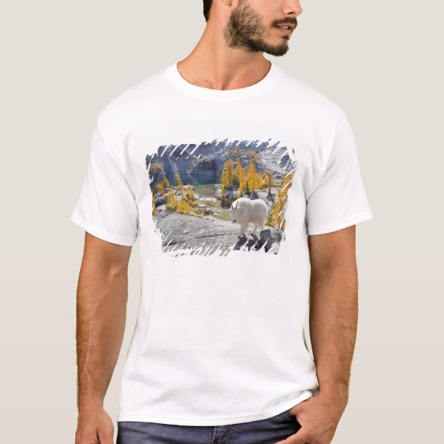 Camiseta EEUU, WA, los lagos alpinos y los encantos de la m (Anverso)