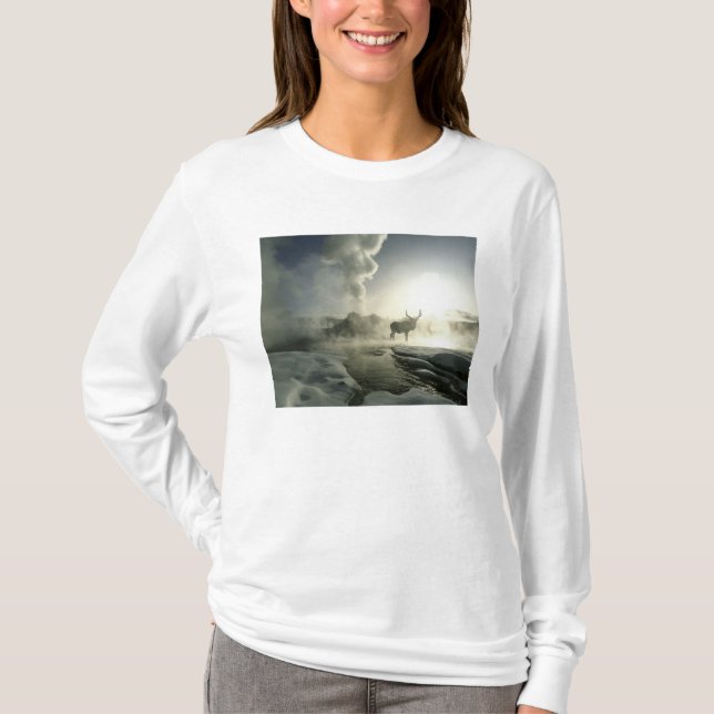 Camiseta EEUU, Wyoming, Parque Nacional Yellowstone. Sunris (Anverso)